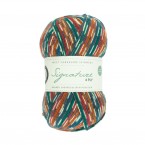 West Yorkshire Spinners Signature 4 ply